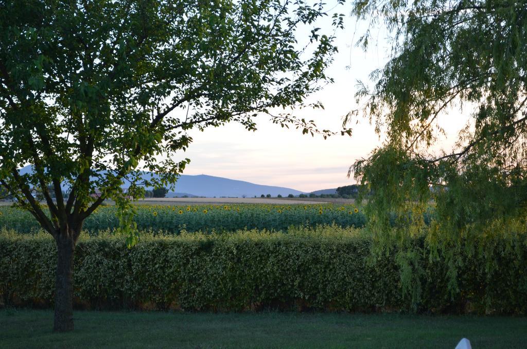 Agrialbergo Capalbio Buitenkant foto
